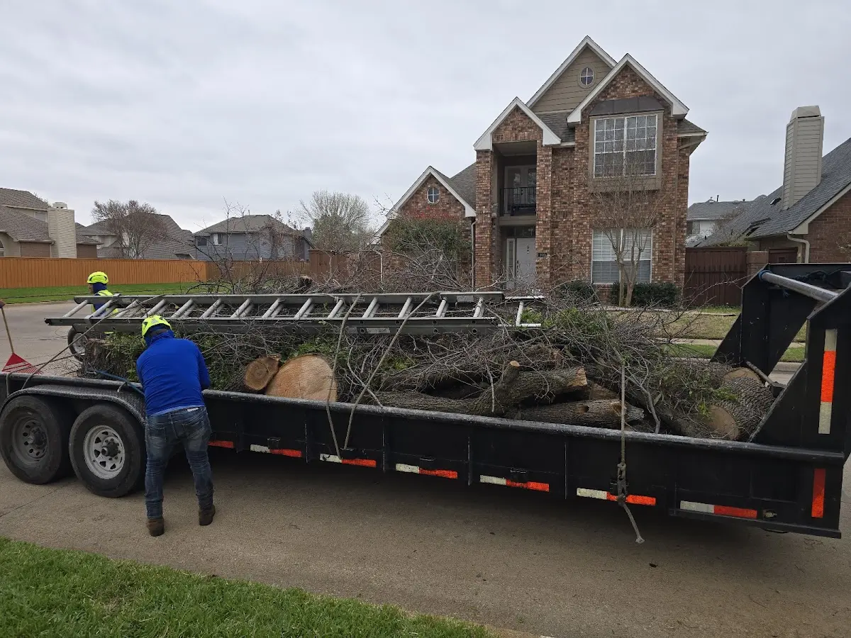 Expert Tree Pest Control with proper safety equipment in Ehrenberg
